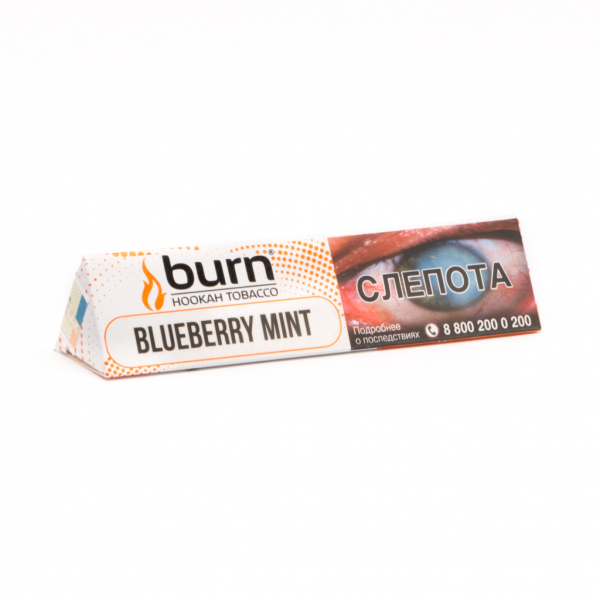 Табак для кальяна - Burn - Blueberry Mint ( черника с мятой ) - 25 g